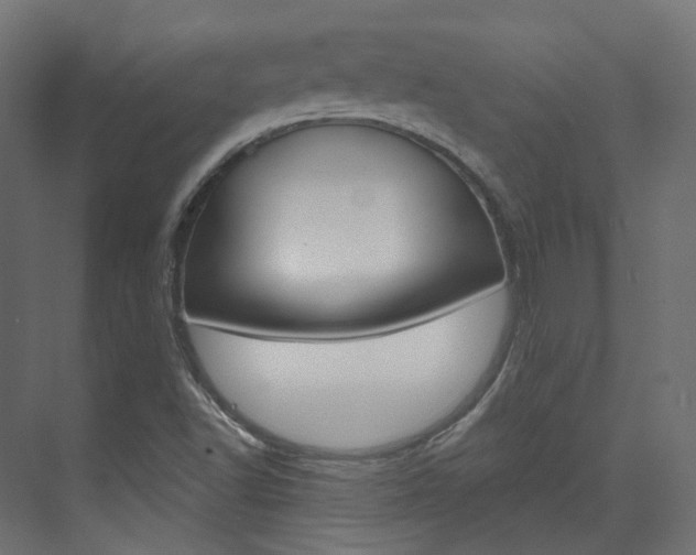 X0000074241502200608250828