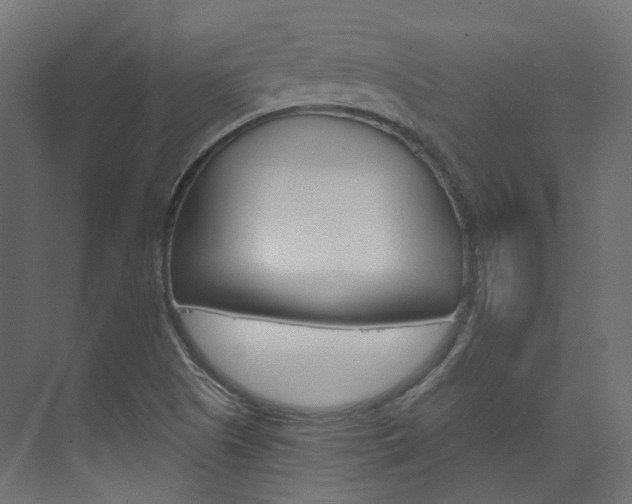 X0000074241505200608250828