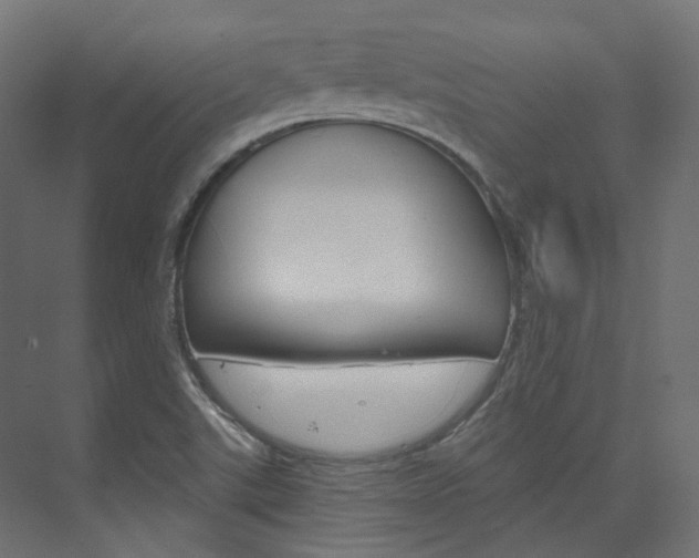 X0000074241507200608250828