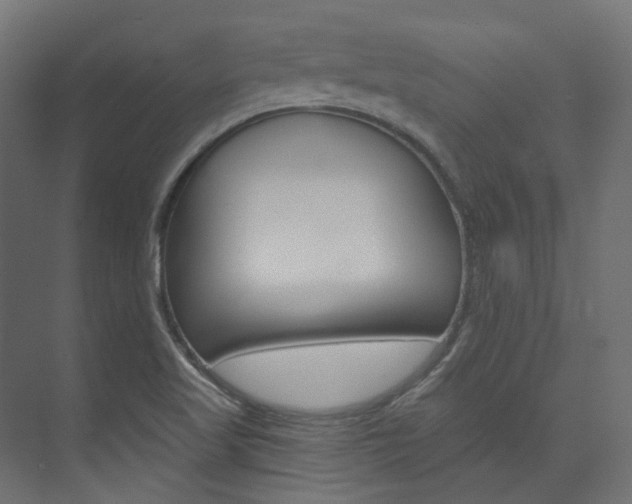 X0000074241509200608250829