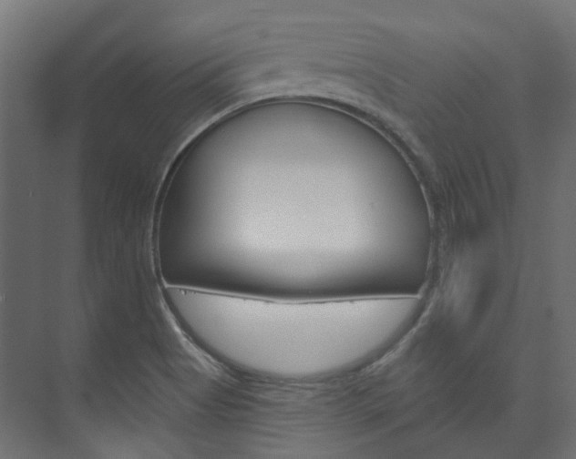 X0000074241513200608250829
