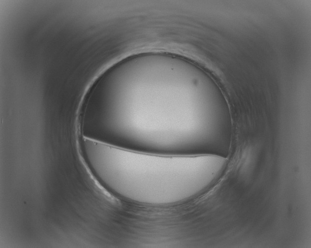 X0000074241517200608250829