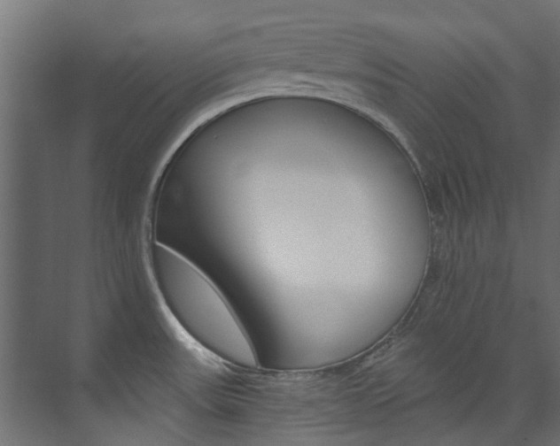 X0000074241531200608250829