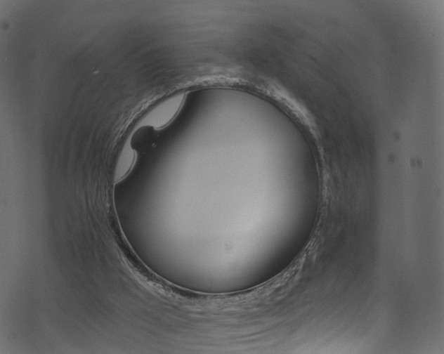 X0000074240009200608251150
