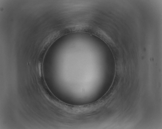 X0000074240022200608251150