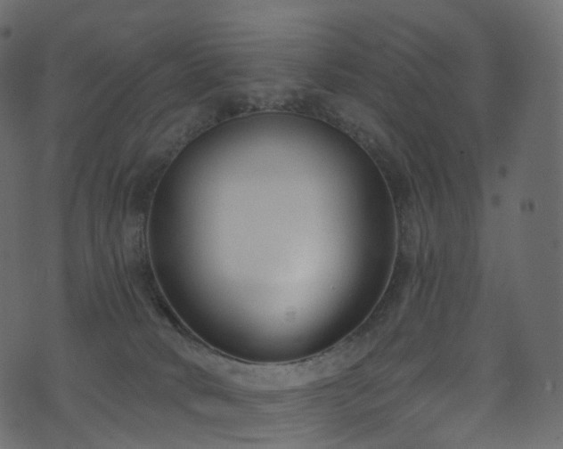 X0000074240034200608251149