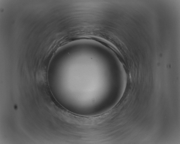 X0000074240035200608251149