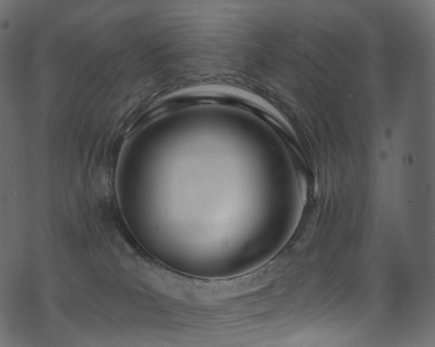 X0000074240039200608251149