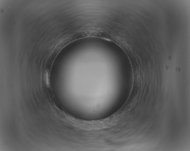 X0000074240042200608251149