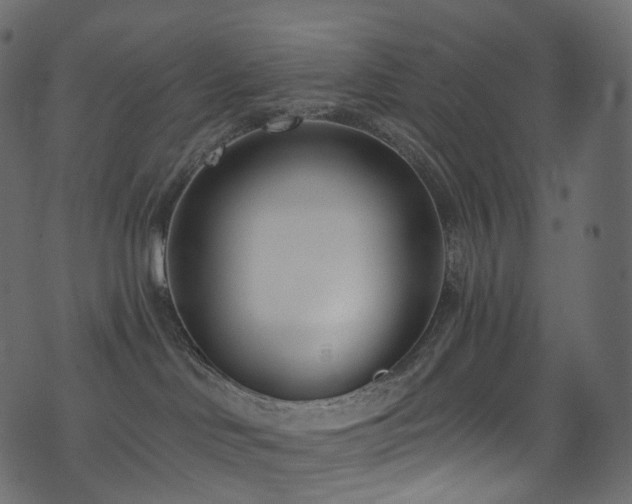 X0000074240046200608251149