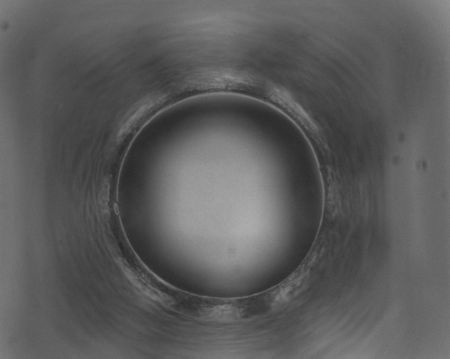 X0000074240058200608251149
