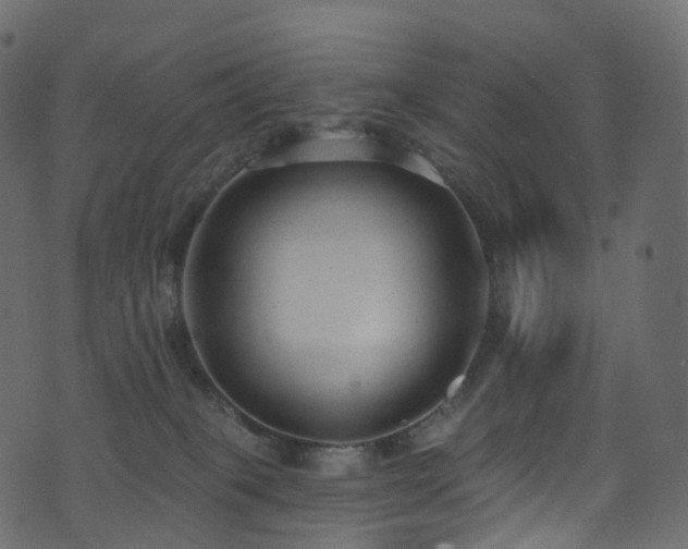 X0000074240085200608251149