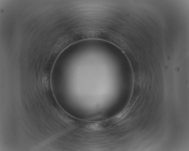 X0000074240086200608251149