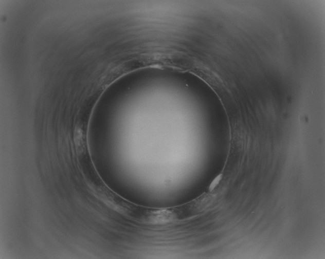 X0000074240087200608251149