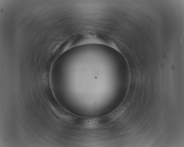 X0000074240088200608251149