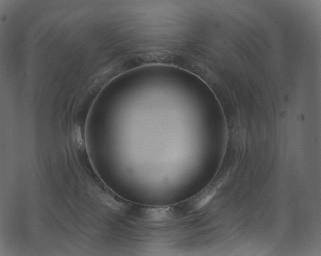 X0000074240089200608251149