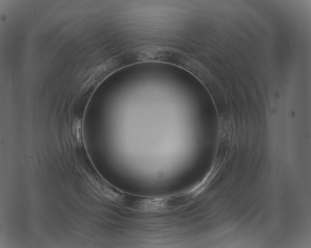 X0000074240094200608251149