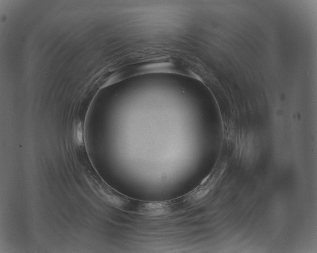 X0000074240095200608251149