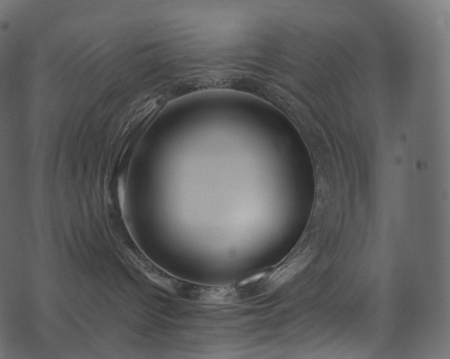 X0000074240096200608251149