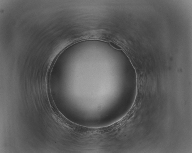 X0000074240100200608251148