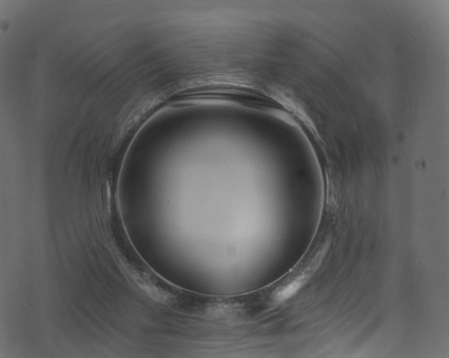 X0000074240109200608251148