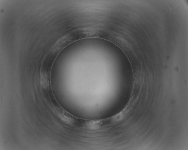 X0000074240136200608251148