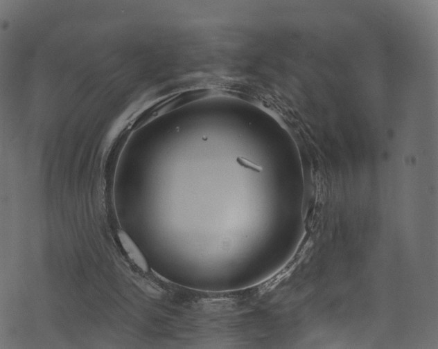 X0000074240150200608251147