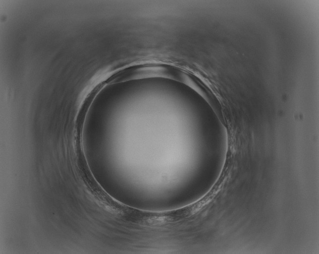 X0000074240152200608251147