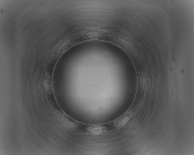 X0000074240181200608251148