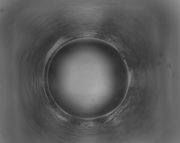 X0000074240195200608251147