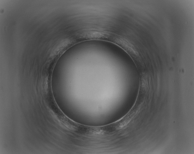 X0000074240206200608251147