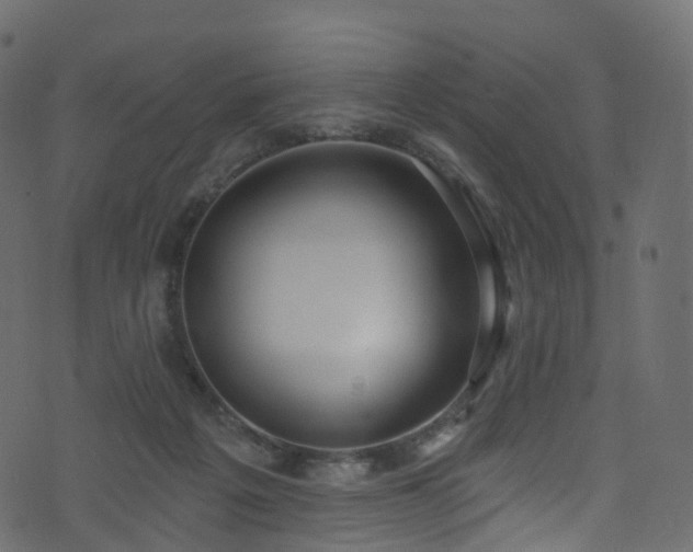 X0000074240217200608251147