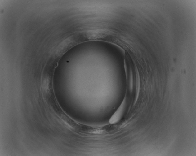 X0000074240219200608251146