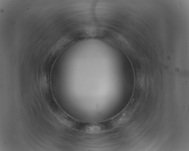 X0000074240220200608251146