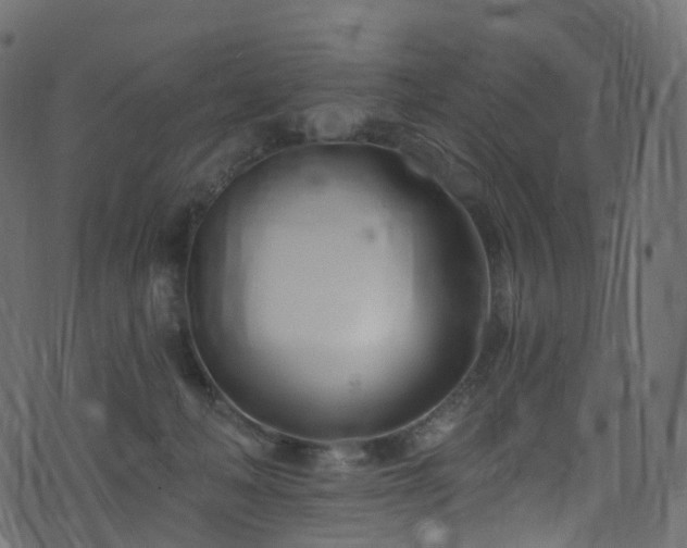 X0000074240222200608251146