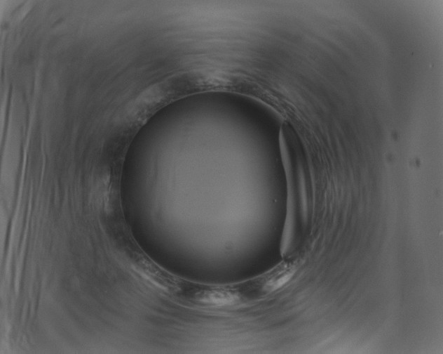 X0000074240223200608251146