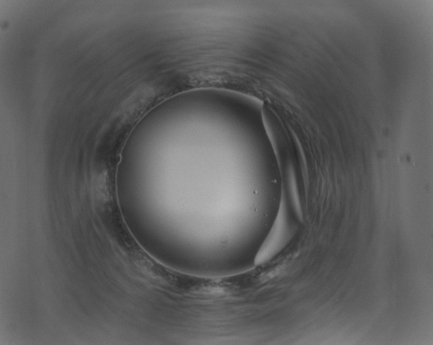 X0000074240224200608251146