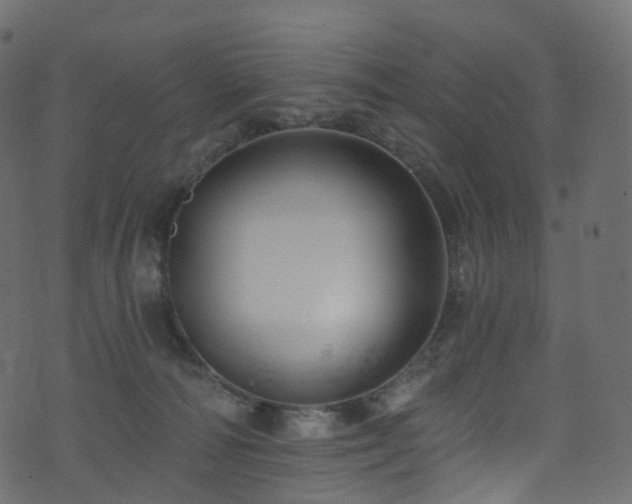 X0000074240226200608251146