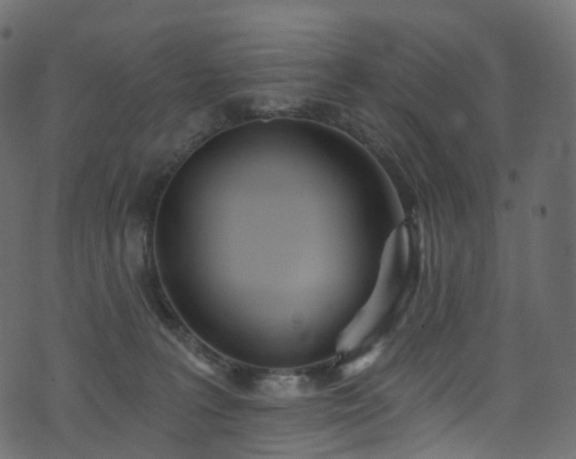 X0000074240227200608251146