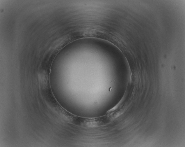 X0000074240228200608251146