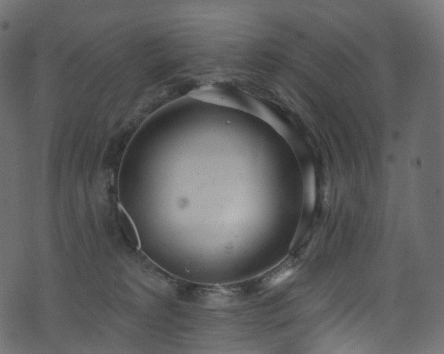 X0000074240229200608251146