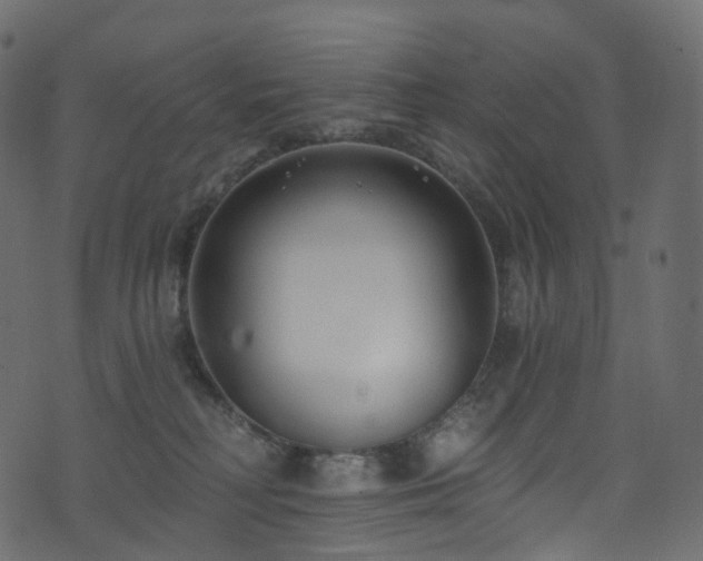 X0000074240230200608251146