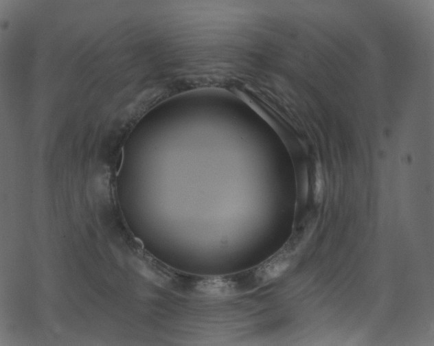 X0000074240231200608251146