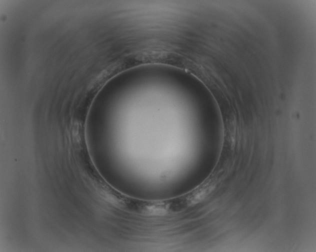 X0000074240232200608251146