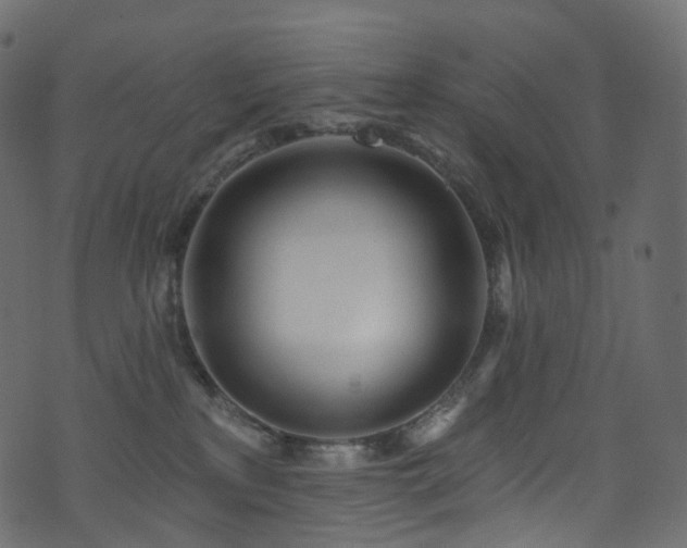 X0000074240233200608251146