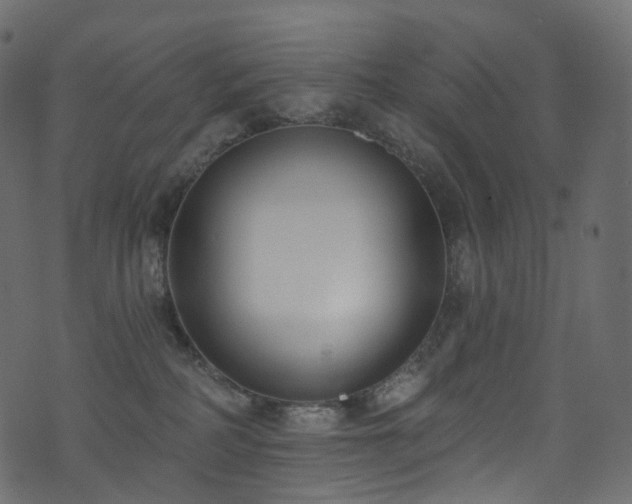 X0000074240234200608251146