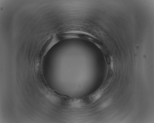 X0000074240235200608251146