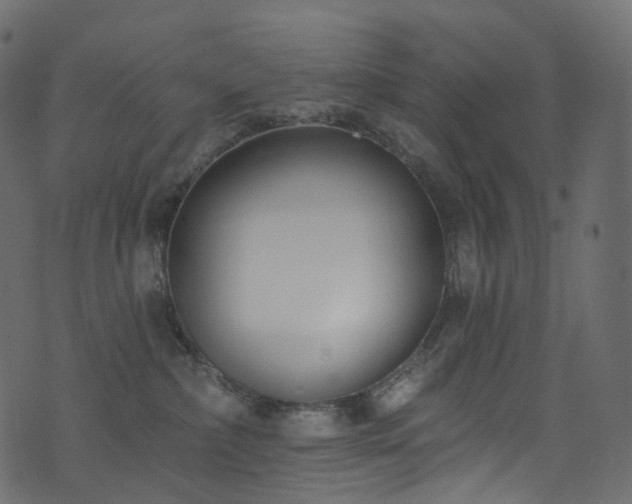 X0000074240236200608251146