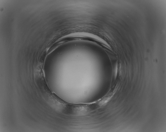 X0000074240237200608251146