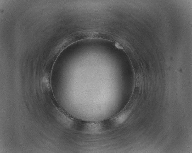 X0000074240238200608251146